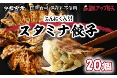 宇都宮餃子 運気アップ餃子 ニンニクマシマシ スタミナ餃子 20個 保存料不使用【冷凍餃子 ぎょうざ ギョウザ 冷凍食品 惣菜 栃木県 宇都宮市 】※配送不可地域：離島