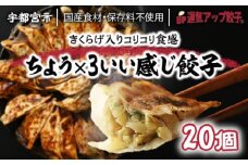 宇都宮餃子 運気アップ餃子  ちょう×3いい感じ餃子 20個 保存料不使用【 餃子 ぎょうざ 冷凍餃子 冷凍食品 惣菜 栃木県 宇都宮市 】※配送不可地域：離島