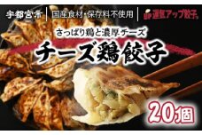 宇都宮餃子 運気アップ餃子  チーズ鶏餃子 20個 保存料不使用【 餃子 ぎょうざ 冷凍餃子 冷凍食品 惣菜 栃木県 宇都宮市 】※配送不可地域：離島