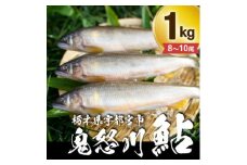栃木県宇都宮 鬼怒川の鮎 1kg(8～10尾)