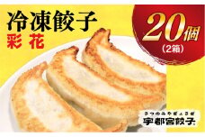 【彩花】　餃子10個入り×2箱【配送不可地域：離島】
