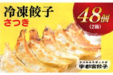 【さつき】　餃子24個入り×2箱【配送不可地域：離島】