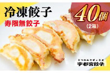 宇都宮餃子 寿限無 餃子20個入り×2箱 ※離島への配送不可