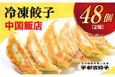 【中国飯店】　餃子24個入り×2箱【配送不可地域：離島】