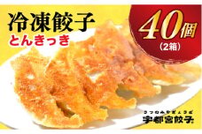 【とんきっき】　餃子20個入り×2箱【配送不可地域：離島】