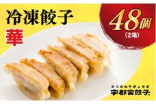 【華】　餃子24個入り×2箱