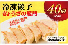 【龍門】　餃子20個入り×2箱