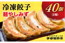 【麺やしみず】　餃子20個入り×2箱