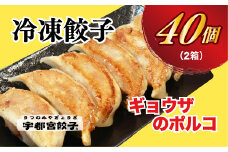 【ギョウザのポルコ】餃子20個入り×2箱【配送不可地域：離島】