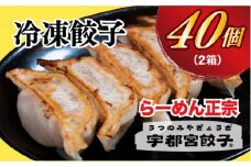 【らーめん正宗】餃子20個入り×2箱【配送不可地域：離島】