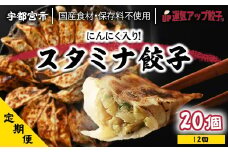 『定期便』宇都宮餃子 運気アップ餃子 スタミナ餃子　保存料不使用　全12回【配送不可地域：離島】