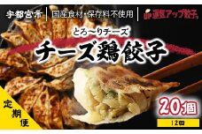 『定期便』宇都宮餃子 運気アップ餃子 チーズ鶏餃子20個　保存料不使用　全12回【配送不可地域：離島】