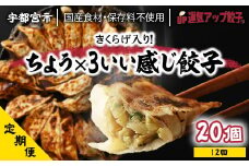 『定期便』宇都宮餃子 運気アップ餃子 ちょう×3いい感じ餃子　保存料不使用　全12回【配送不可地域：離島】