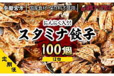 『定期便』宇都宮餃子 運気アップ餃子 ニンニクマシマシスタミナ餃子100個　保存料不使用　全12回【配送不可地域：離島】