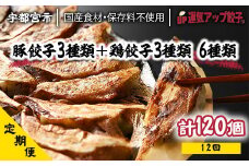 『定期便』宇都宮餃子 運気アップ餃子 6種類味比べ(合計120個)　保存料不使用　全12回【配送不可地域：離島】
