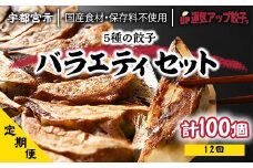 『定期便』宇都宮餃子 運気アップ餃子 5種類味比べ(合計100個)　保存料不使用　全12回【配送不可地域：離島】