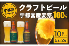 宇都宮 クラフトビール 宇都宮産麦芽100%コンビ 10本セット(各330ml)【 ビール ギフト 飲み比べ 栃木県 宇都宮市 】※離島への配送不可