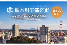 栃木県宇都宮市への寄付　2,000円（返礼品はありません）