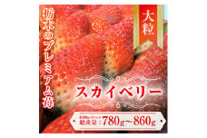 【先行予約】スカイベリー 約390g～430g×2パック | いちご 栃木 スカイベリー 大粒 大きい いちご 苺 イチゴ 栃木 果物 甘い 評判 鮮度 抜群 好評 人気 アレンジ アフター対応あり※離島への配送不可 ※2026年1月中旬～3月下旬頃に順次発送予定