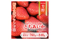 【先行予約】とちあいか 約380g～420g×2パック | いちご イチゴ 苺 栃木 とちあいか 新種 甘い 糖度 ハート型 フルーツ 果物 スイーツ いちごジャム ギフト 産地直送 ※離島への配送不可 ※2026年1月中旬～3月下旬頃に順次発送予定