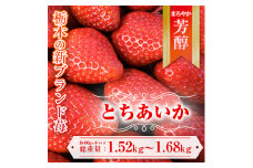 【先行予約】とちあいか 約380g～420g×4パック | いちご イチゴ 苺 栃木 とちあいか 新種 甘い 糖度 ハート型 フルーツ 果物 スイーツ いちごジャム ギフト 産地直送 ※離島への配送不可 ※2026年1月中旬～3月下旬頃に順次発送予定