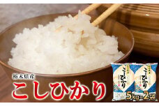 【令和6年産】栃木県産こしひかり10kg（精米・5kg×2袋）　※離島への配送不可