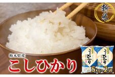 【令和7年産】栃木県産こしひかり10kg（精米・5kg×2袋）　※離島への配送不可
