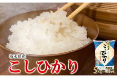 【令和6年産】栃木県産こしひかり（精米・5kg×1袋）　※離島への配送不可