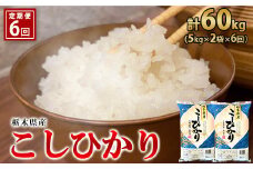 【6ヶ月定期便】【令和5年産】栃木県産こしひかり（精米・5kg×2袋）
※着日指定不可
※離島への配送不可