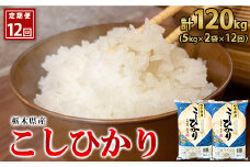 【12ヶ月定期便】【令和5年産】栃木県産こしひかり（精米・5kg×2袋）
※着日指定不可
※離島への配送不可