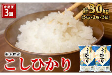 【3ヶ月定期便】【令和5年産】栃木県産こしひかり（精米・5kg×2袋）
※着日指定不可
※離島への配送不可