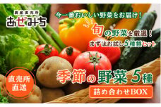 新鮮野菜 5種類詰合せ
※着日指定不可