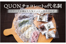 QUONチョコレートの代名詞 テリーヌ6種＆大人気ロッシェ詰め合わせ
※着日指定不可