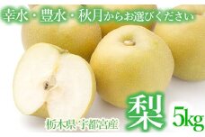 【秋月】梨 5kg箱 幸水 豊水 秋月 栃木県 宇都宮市産 ※離島への配送不可