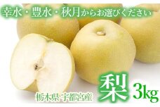 【豊水】梨 3kg箱 幸水 豊水 秋月 栃木県 宇都宮市産 ※離島への配送不可