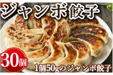 ジャンボ餃子　30個入り
※着日指定不可