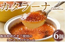 真面目にカタラーナ
※着日指定不可
※北海道・沖縄・離島への配送不可