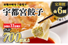 【6ヶ月定期便】宇都宮餃子　32店舗定期便　計700個以上 ｜ ぎょうざ 冷凍餃子 冷凍食品 惣菜 栃木県 宇都宮市
※着日指定不可