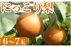 【先行予約】【産地直送】にっこり梨（6玉～7玉）
※離島への配送不可
※2024年10月上旬～10月下旬頃に順次発送予定