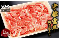 宇都宮牛 切り落とし 計1kg（500g×2P）