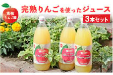 荒牧りんご園 完熟りんごを使ったジュース3本セット　※離島への配送不可