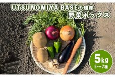 UTSUNOMIYA BASEの畑産野菜ボックス 5kg