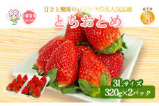 【先行予約】とちおとめ320g×2パック 3Lサイズ | いちご 苺 イチゴ フルーツ 果物 国産 平積み 甘い 糖度 旬 新鮮 フルーツ アレンジ スイーツ いちごジャム フルーツサンド ※2026年1月中旬～4月中旬頃に順次発送予定