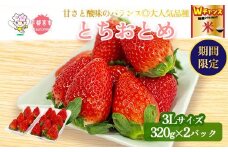 ＼9末まで 寄附額改定／【先行予約】とちおとめ320g×2パック 3Lサイズ | いちご 苺 イチゴ フルーツ 果物 国産 平積み 甘い 糖度 旬 新鮮 フルーツ アレンジ スイーツ いちごジャム フルーツサンド ※2026年1月中旬～4月中旬頃に順次発送予定