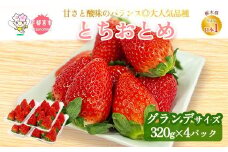 【先行予約】とちおとめ ご家庭用 320g×4パック 約1.2kg グランデサイズ  | いちご 苺 イチゴ フルーツ 果物 国産 平積み 甘い 糖度 旬 新鮮 フルーツ アレンジ スイーツ いちごジャム フルーツサンド ※離島への配送不可 ※2026年1月中旬～4月中旬頃に順次発送予定