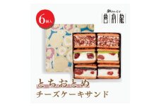 とちおとめチーズケーキサンド【6個入り】
※着日指定不可
