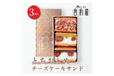 とちおとめチーズケーキサンド【3個入り】
※着日指定不可