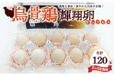 【定期便6ヶ月】烏骨鶏　濃厚な黄身！爽やかな白身が自慢！【烏骨鶏輝翔卵】20玉らくらく定期便 ◇ ※離島への配送不可