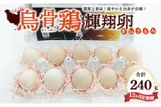 【定期便12ヶ月】烏骨鶏　濃厚な黄身！爽やかな白身が自慢！【烏骨鶏輝翔卵】20玉らくらく定期便 ◇ ※離島への配送不可