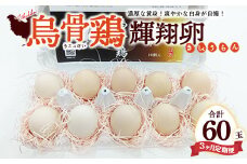 【定期便3ヶ月】烏骨鶏　濃厚な黄身！爽やかな白身が自慢！【烏骨鶏輝翔卵】20玉らくらく定期便 ◇ ※離島への配送不可